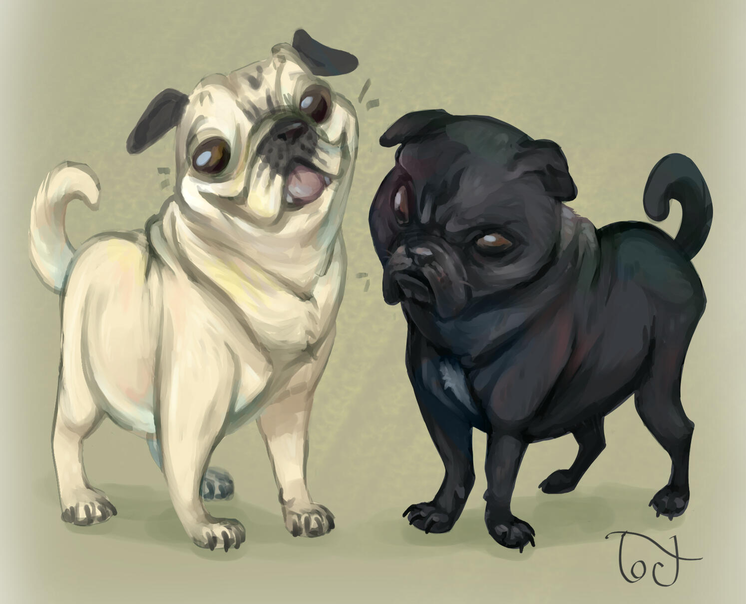 Yidin - Character Sheet